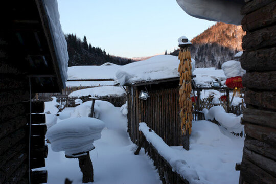 雪鄉(xiāng) 雙峰林場 雪景 白雪