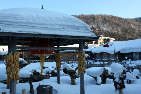 雪鄉(xiāng) 雙峰林場 雪景 白雪