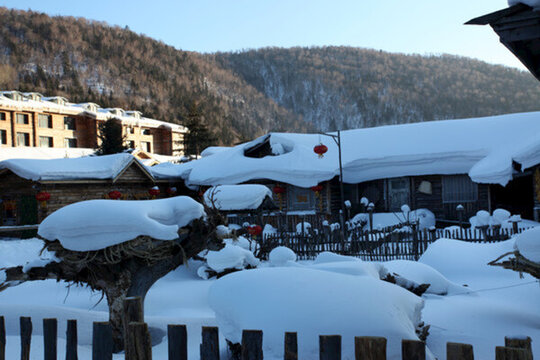 雪鄉(xiāng) 雙峰林場 雪景 白雪