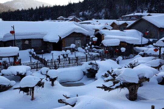 雙峰林場 雪景 白雪
