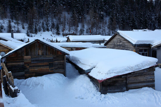 雪鄉(xiāng) 雙峰林場(chǎng) 雪景 白雪