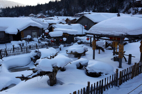 雪鄉(xiāng) 雙峰林場(chǎng) 雪景 白雪