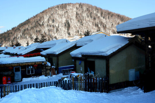 雪鄉(xiāng) 雙峰林場(chǎng) 雪景 白雪