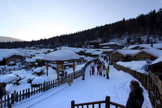 雪鄉(xiāng) 雙峰林場 雪景 白雪
