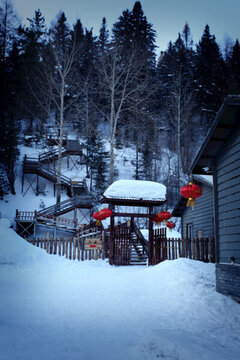 雪鄉(xiāng) 雙峰林場(chǎng) 雪景 白雪