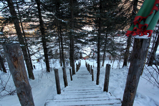 林海雪原 雪鄉(xiāng) 山 松樹 松林