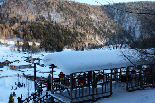 雪鄉(xiāng) 雙峰林場(chǎng) 雪景 白雪