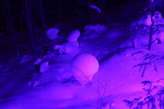 雪鄉(xiāng) 夜景 風(fēng)景