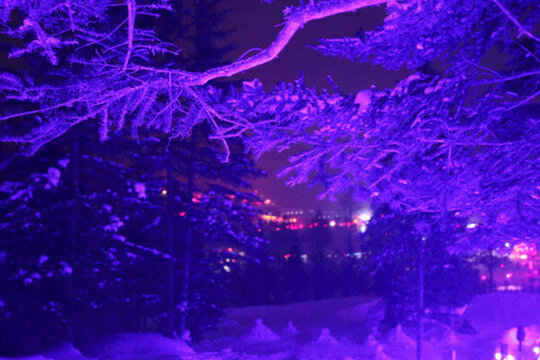 雪鄉(xiāng) 夜景 風景