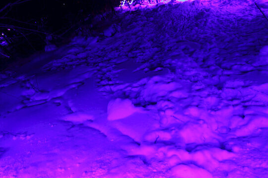 雪鄉(xiāng) 夜景