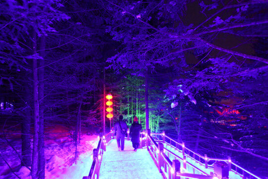 雪鄉(xiāng) 夜景 風(fēng)景 雪景 冬景