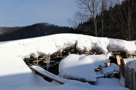雪鄉(xiāng) 雙峰林場 雪景 白雪 鄉(xiāng)