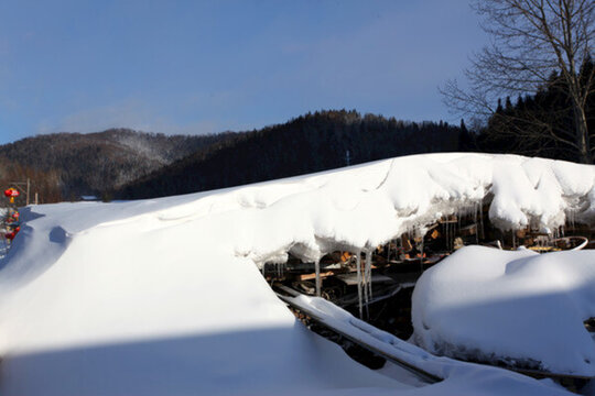 雪鄉(xiāng) 雙峰林場 雪景 白雪