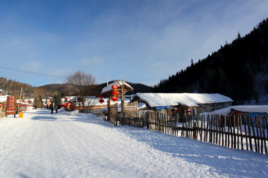 雪鄉(xiāng) 雙峰林場(chǎng) 雪景 白雪 鄉(xiāng)