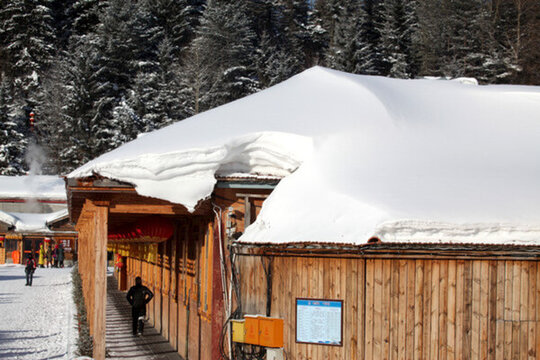 雪鄉(xiāng) 雙峰林場(chǎng) 雪景 白雪 鄉(xiāng)