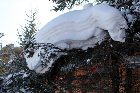 林海雪原 雪鄉(xiāng) 山 松樹