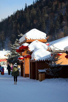雪鄉(xiāng) 雙峰林場 雪景 白雪