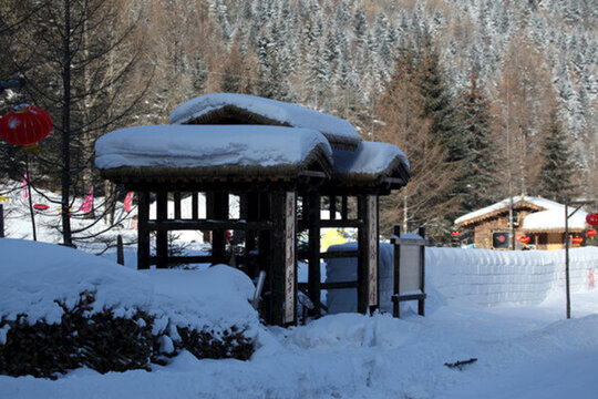 雪鄉(xiāng) 雙峰林場(chǎng) 雪景 白雪