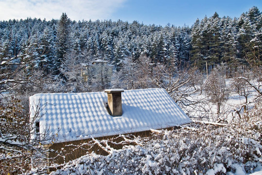 屋頂；在冬天的雪和森林