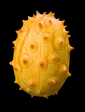 刺角瓜