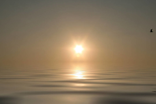 金色夕陽