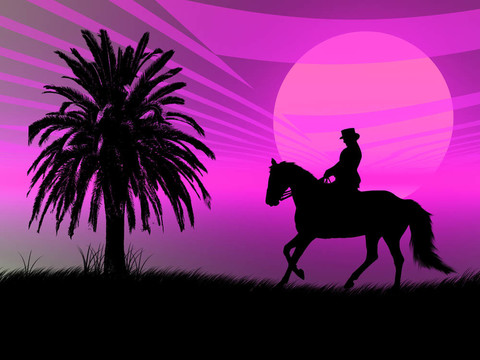 夕陽中的馬