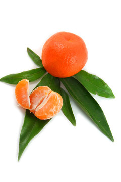多汁的Tangerine夜店與裁剪路徑
