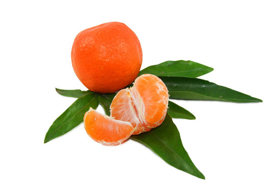 多汁的Tangerine夜店與裁剪路徑