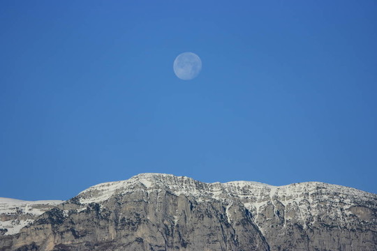 山