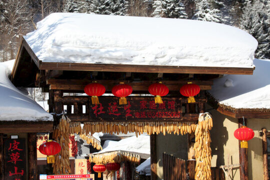 雪鄉(xiāng) 雙峰林場 春節(jié)
