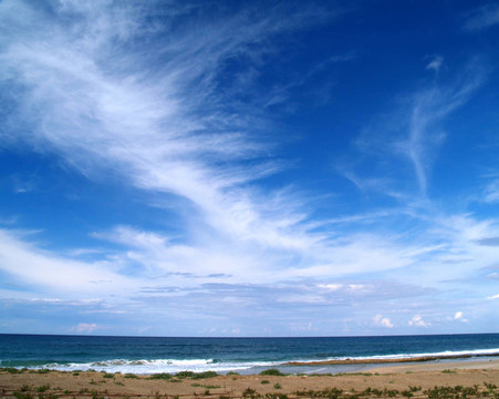 海灘上