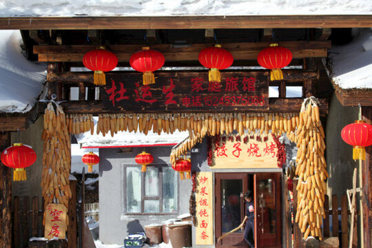 雪鄉(xiāng) 玉米