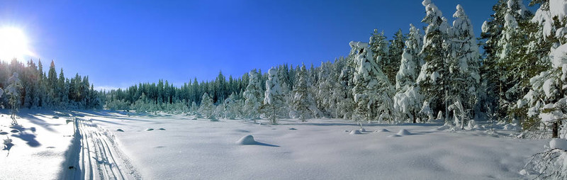 滑雪場(chǎng)