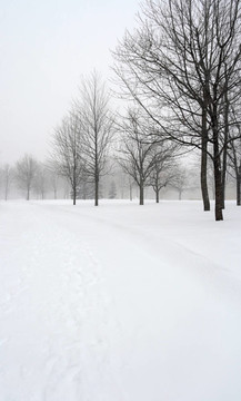 冬天公園里的白雪覆蓋的小路