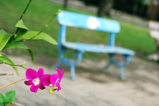 花