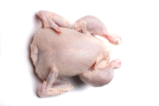 生雞肉
