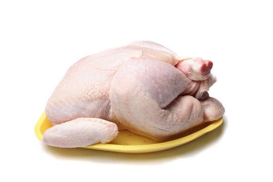 生雞肉