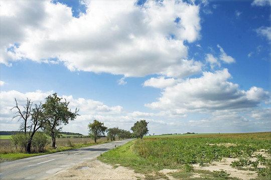 景觀道路
