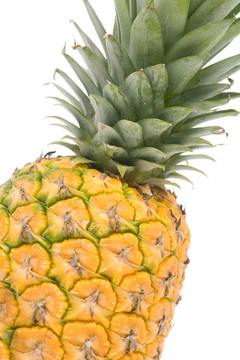 菠蘿