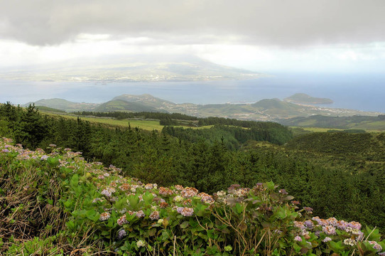 亞速爾群島群島