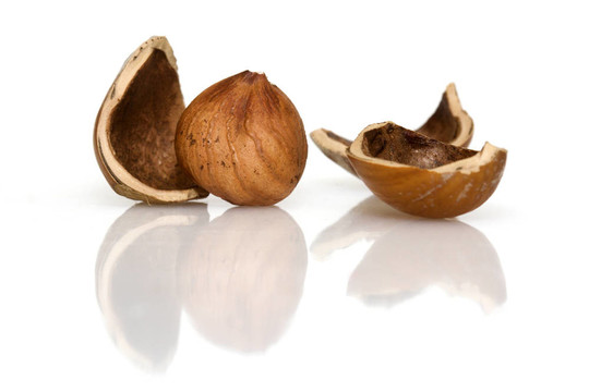 一個(gè)huzelnut內(nèi)核