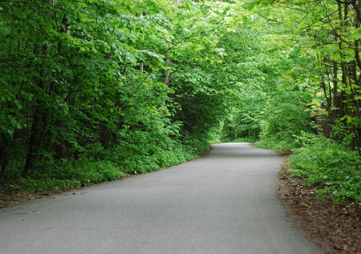春天公園的小路