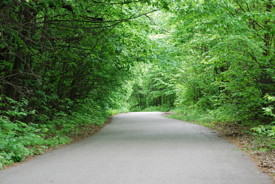 春天公園的小路