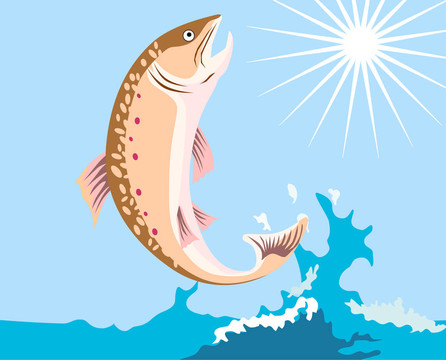跳躍的鱒魚