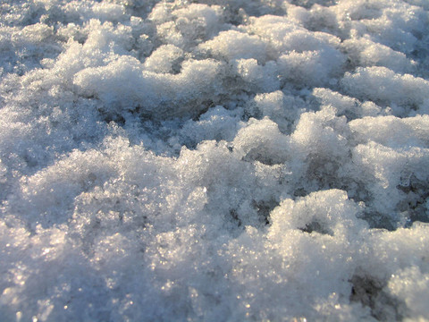 雪在特寫鏡頭