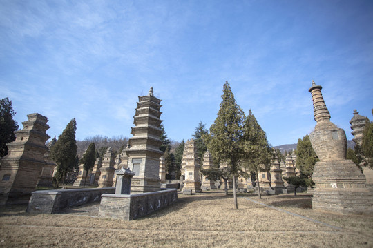 嵩山少林寺塔林