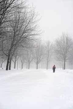 散步在一個(gè)雪的公園里的人