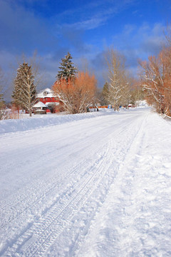 冰雪覆蓋的道路。