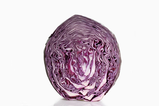 紅甘藍(lán)