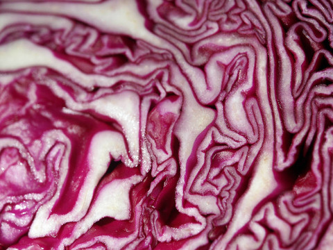 丁香大白菜像一個(gè)大腦